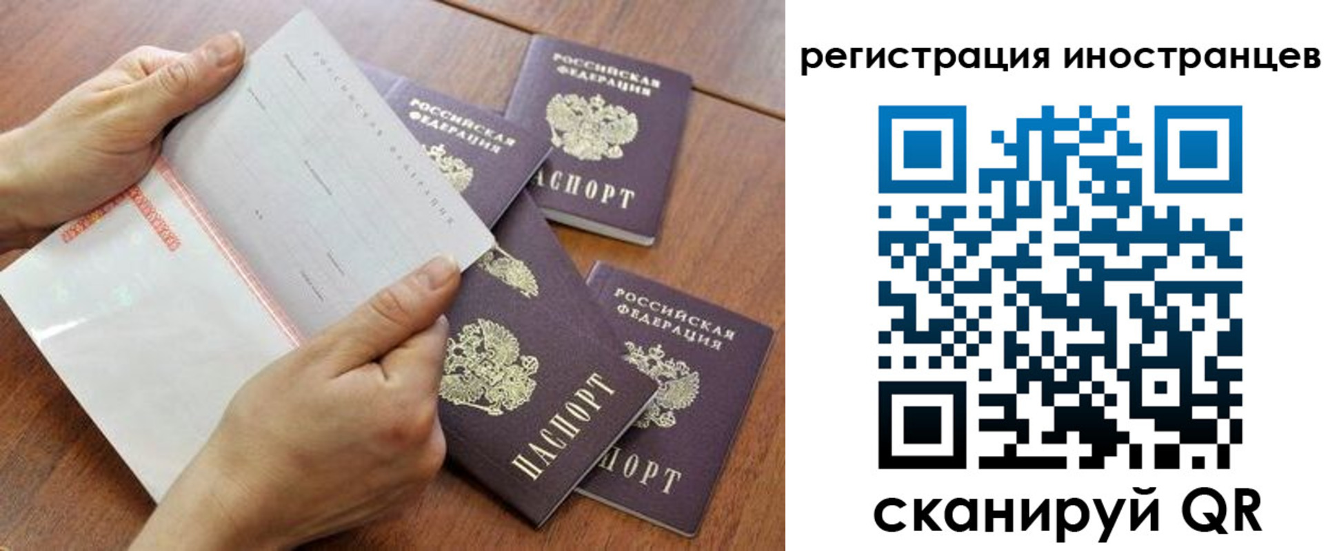 прописка поиск в Калтане